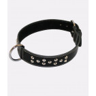 325-BLACK